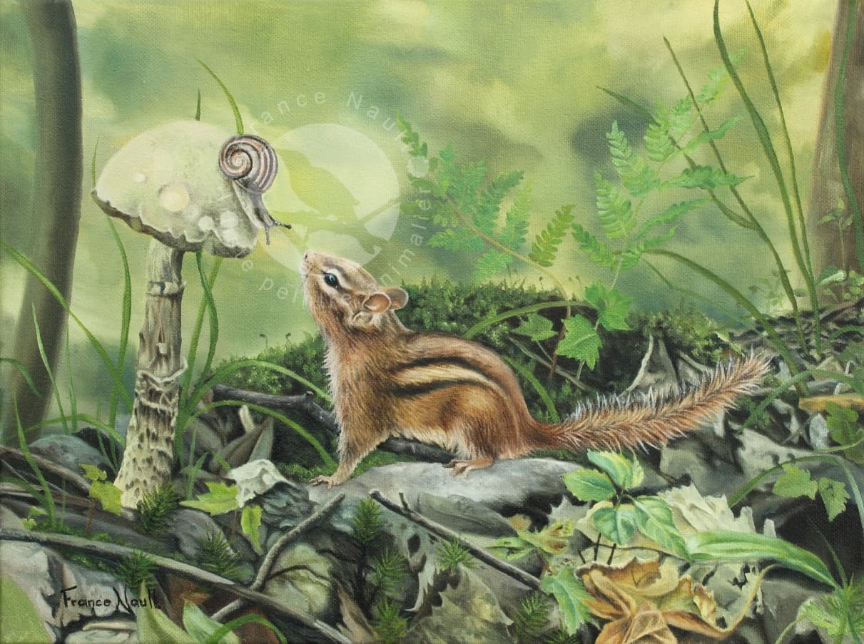 Au gré des rencontres