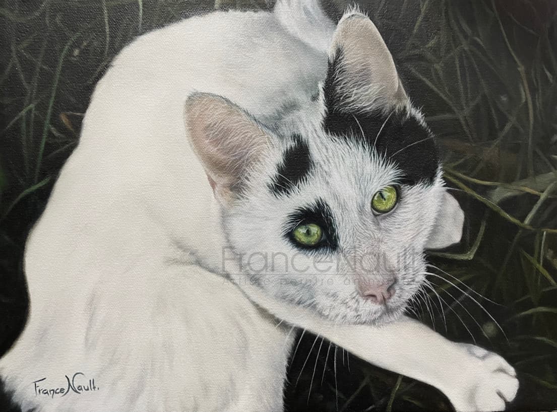 Petit matou amoureux