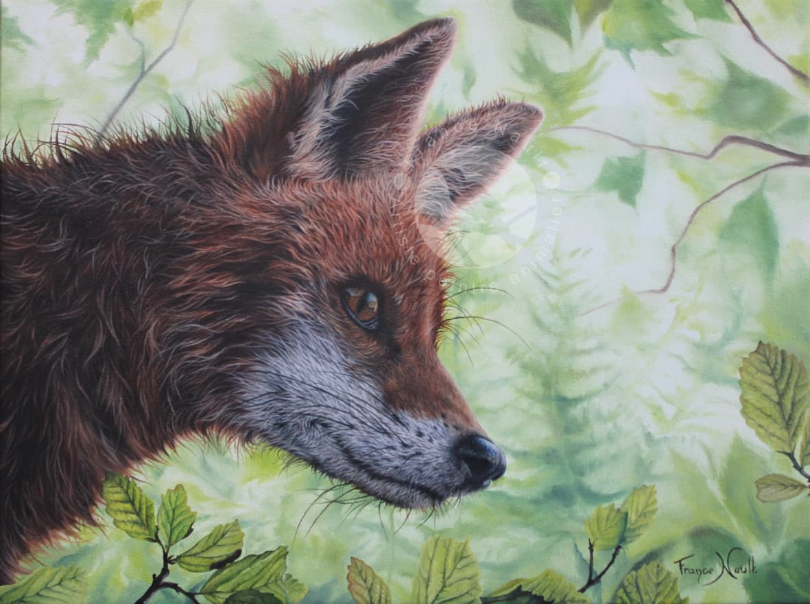 Que vois-tu donc cher renard?