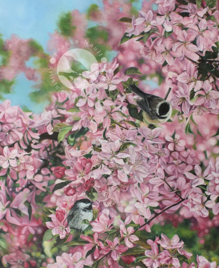 La saison des amours