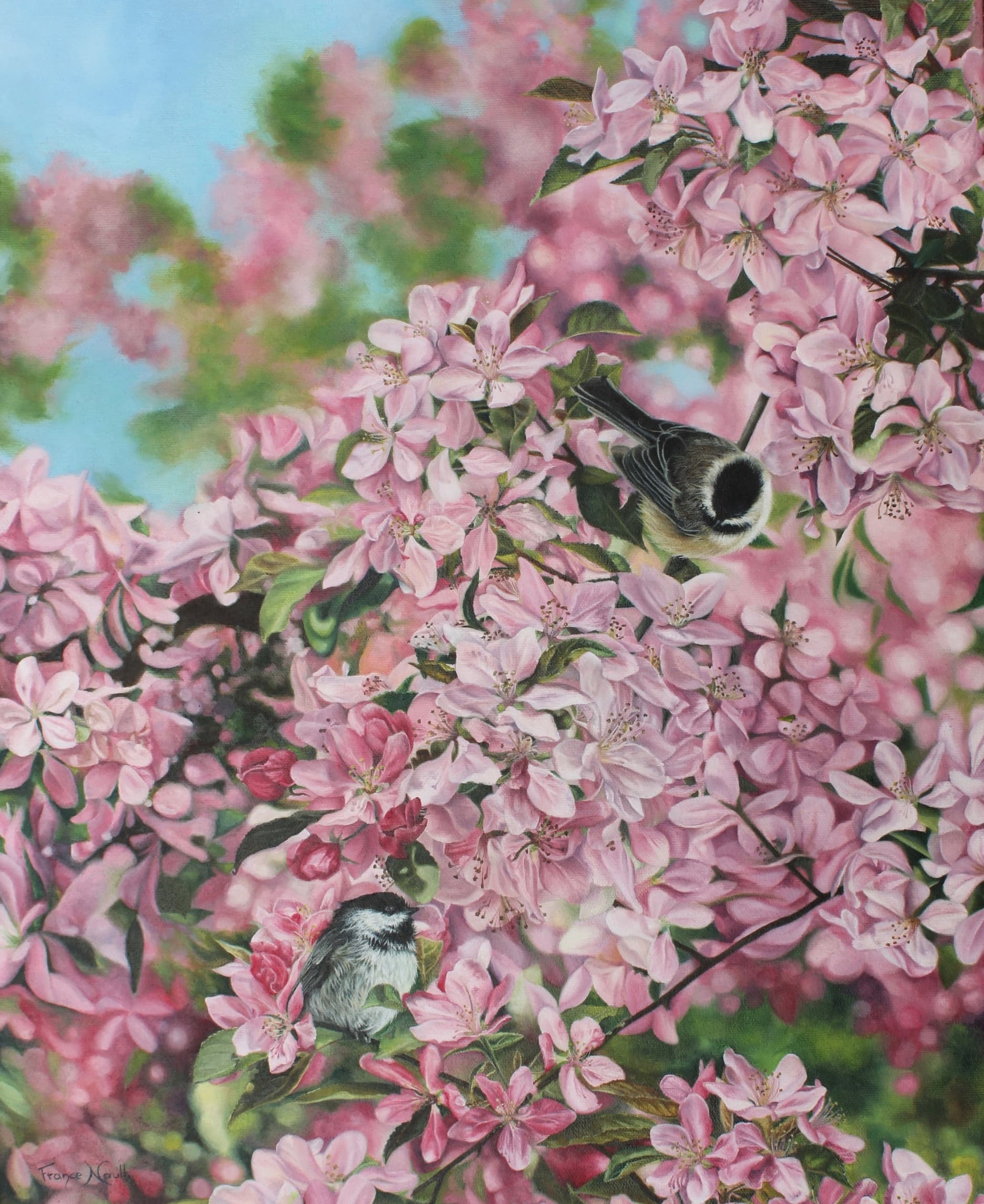 La saison des amours