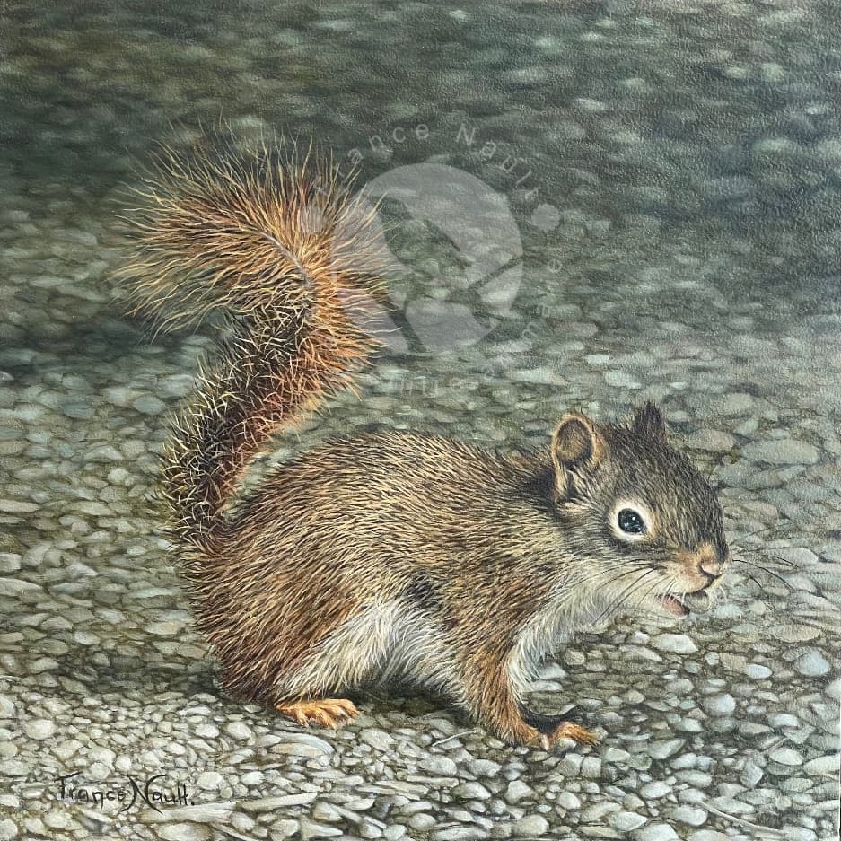 Trop curieux pour revenir