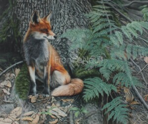 Le plus rusé n'est pas toujours celui qu'on pense!