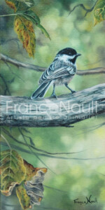 Mésangle en automne #1