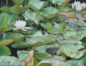 parmi les nénuphars