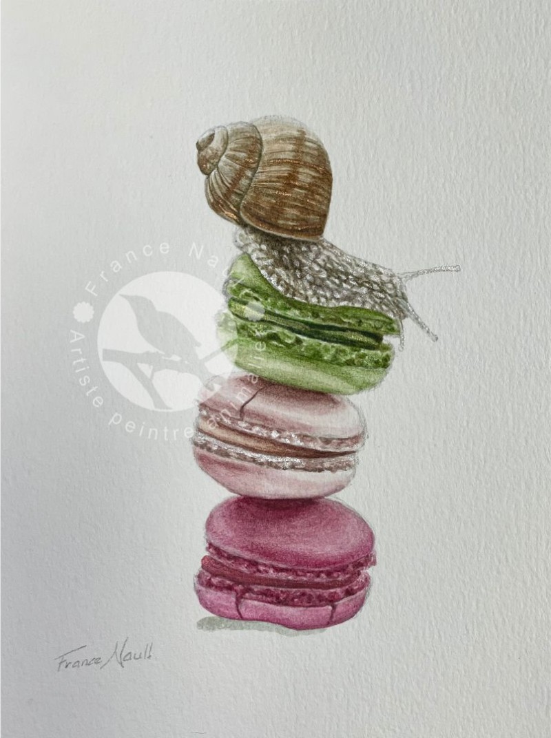 Le dégourdi