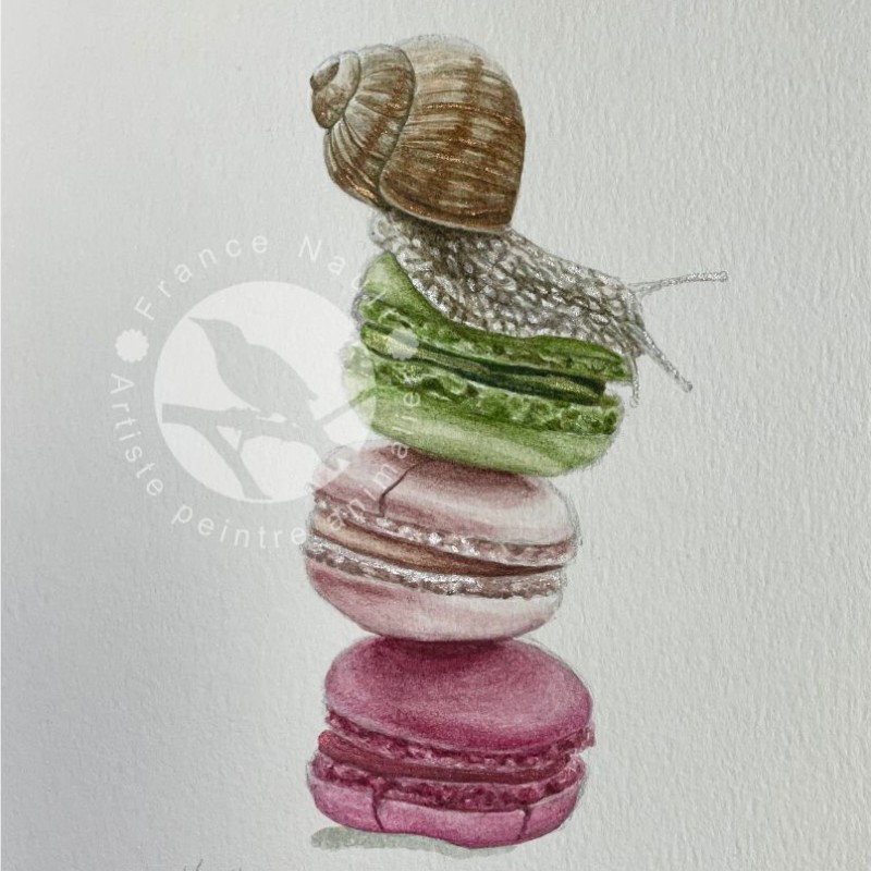 Le dégourdi