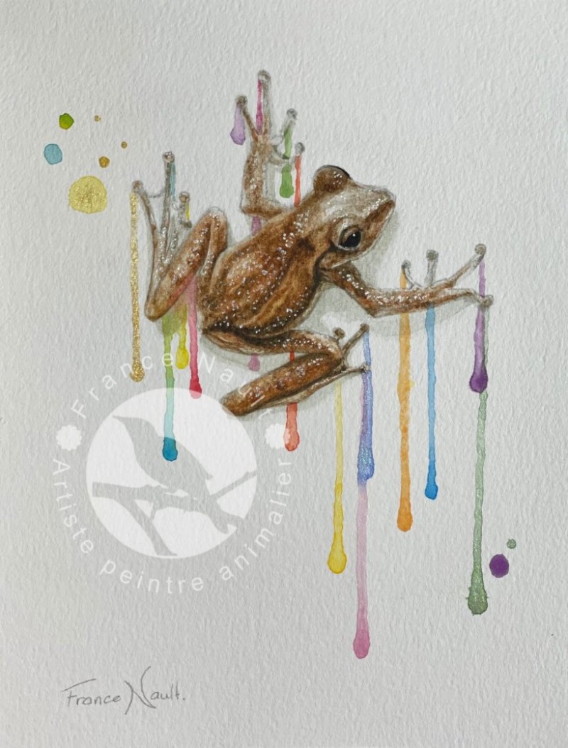 L'aquarelliste