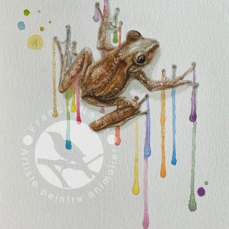 L'aquarelliste