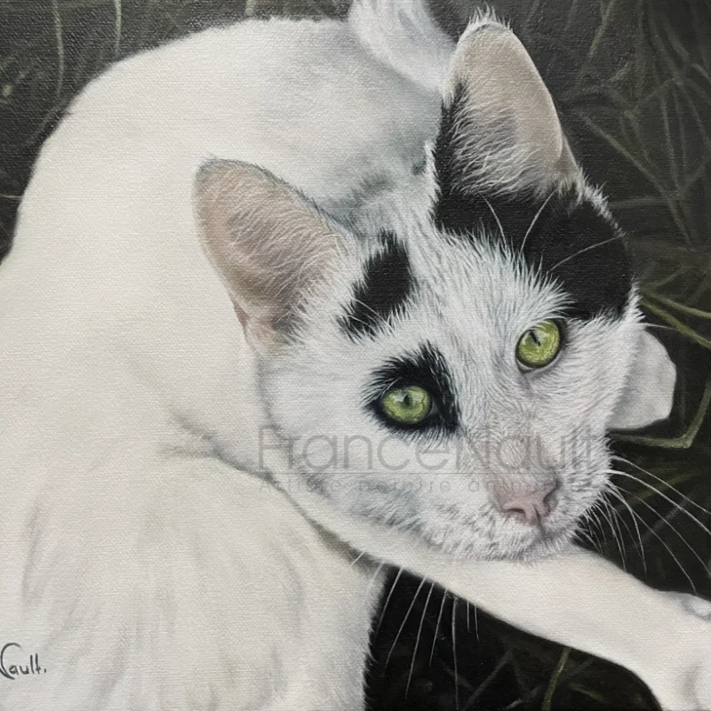 Petit matou amoureux